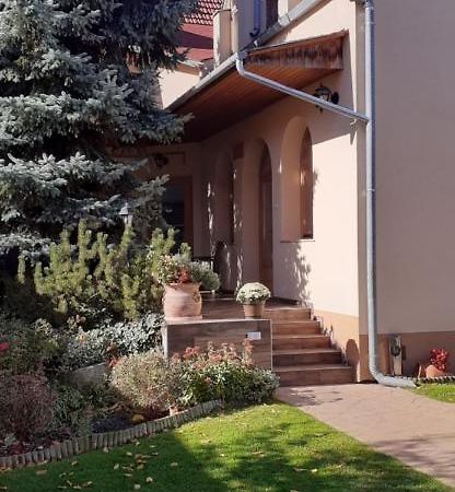 Kenguru Panzio Hotel Hódmezővásárhely Eksteriør billede