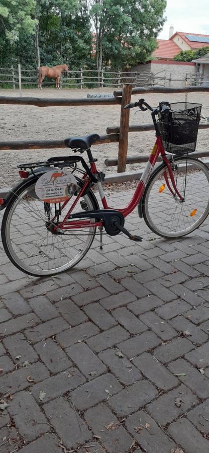 Kenguru Panzio Hotel Hódmezővásárhely Eksteriør billede