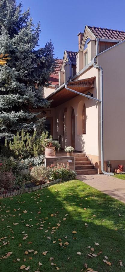 Kenguru Panzio Hotel Hódmezővásárhely Eksteriør billede