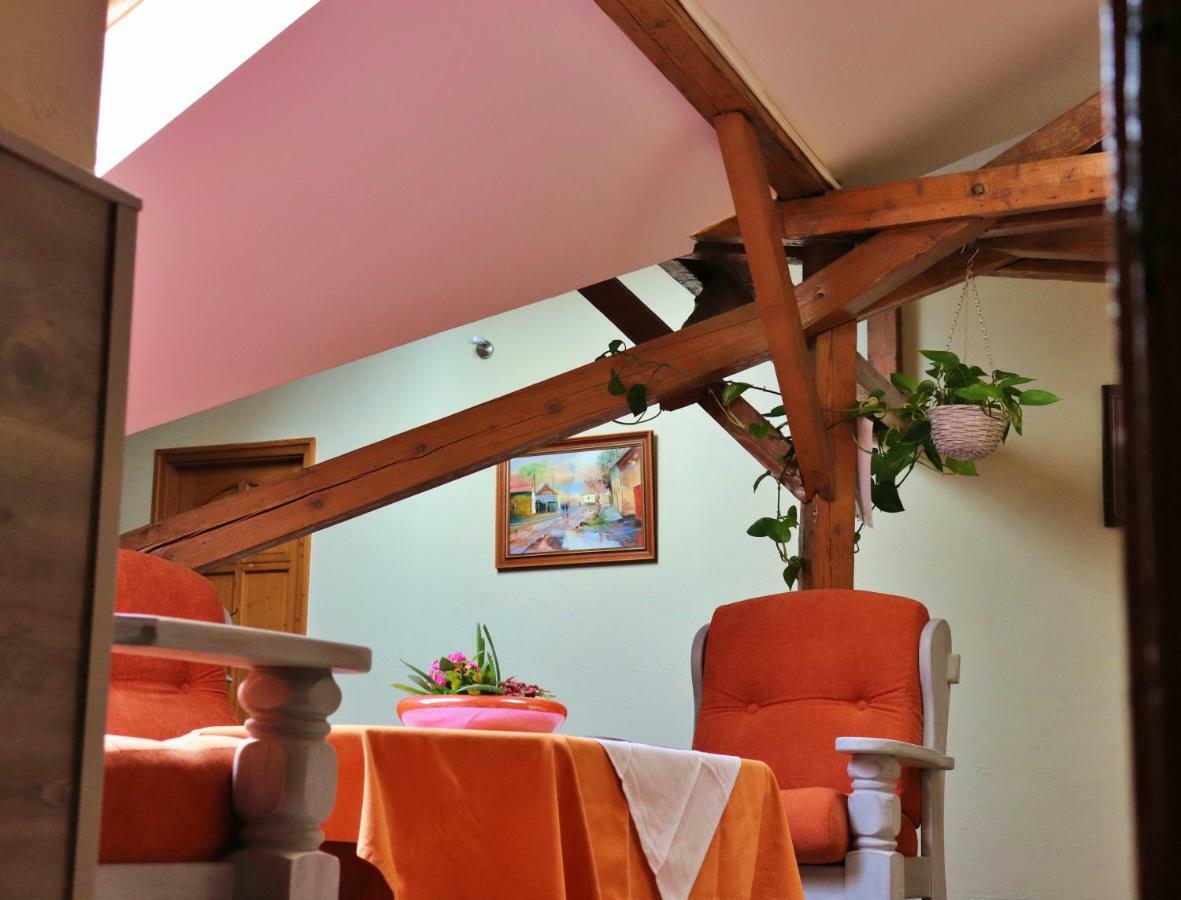 Kenguru Panzio Hotel Hódmezővásárhely Eksteriør billede